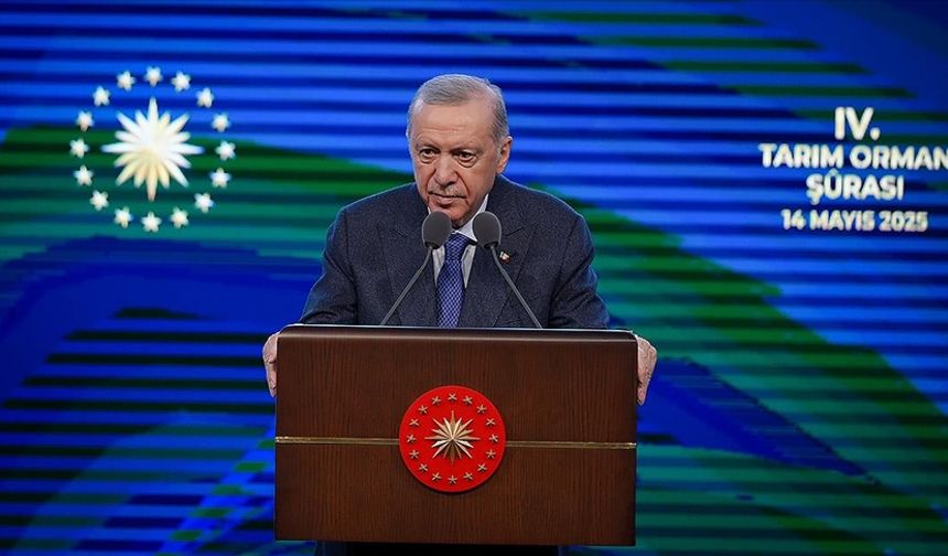 5 şirket Erdoğan'ın gazabına uğradı