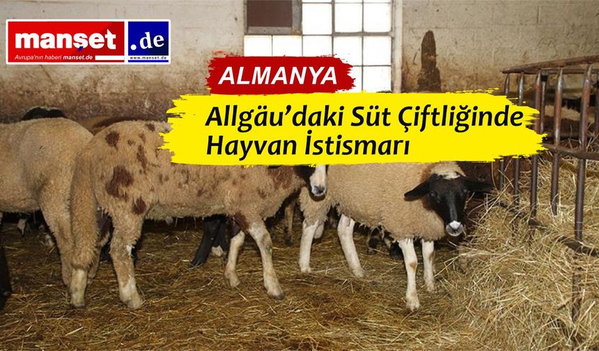 İşletmeciye Hayvan Yasağı