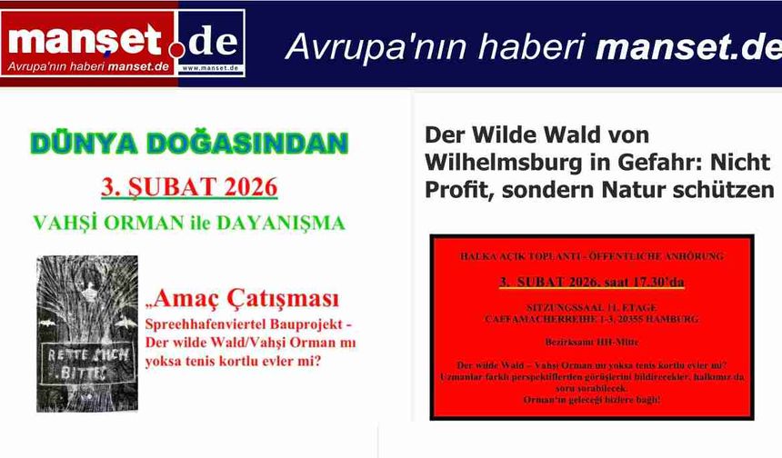 Wilhelm­sburg’daki Vahşi Orman Tehlike Altında: “Doğayı Değil, Rantı Seçmeyin”