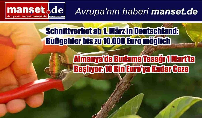 Almanya’da Budama Yasağı 1 Mart’ta Başlıyor: 10 Bin Euro’ya Kadar Ceza