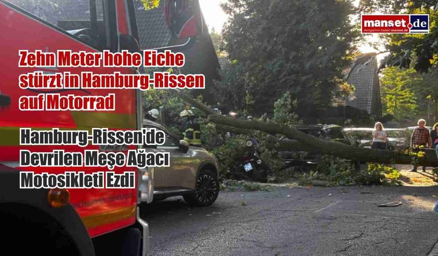 Zehn Meter hohe Eiche stürzt in Hamburg-Rissen auf Motorrad
