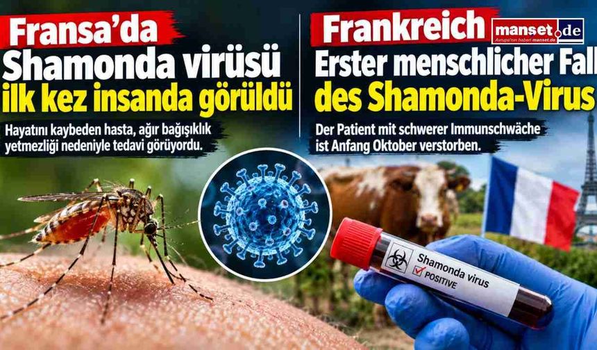 Fransa’da Shamonda virüsü alarmı: İlk insan vakası ölümle sonuçlandı