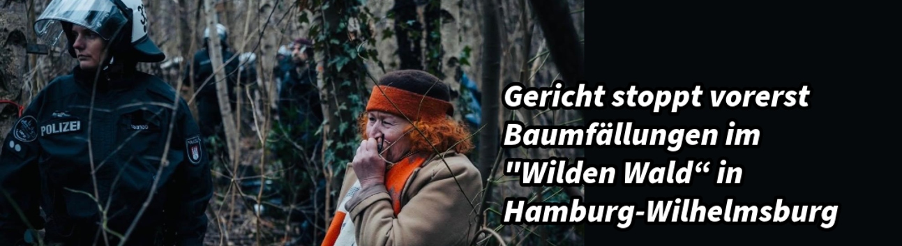 Hamburg Wilhelmsburg’daki “Vahşi Orman” için mahkemeden geçici koruma kararı